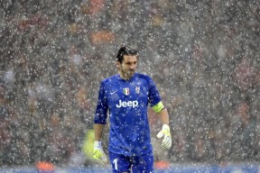 开云官网APP下载-从小众到国际巨星：欧冠新星的崛起史，欧冠 球星