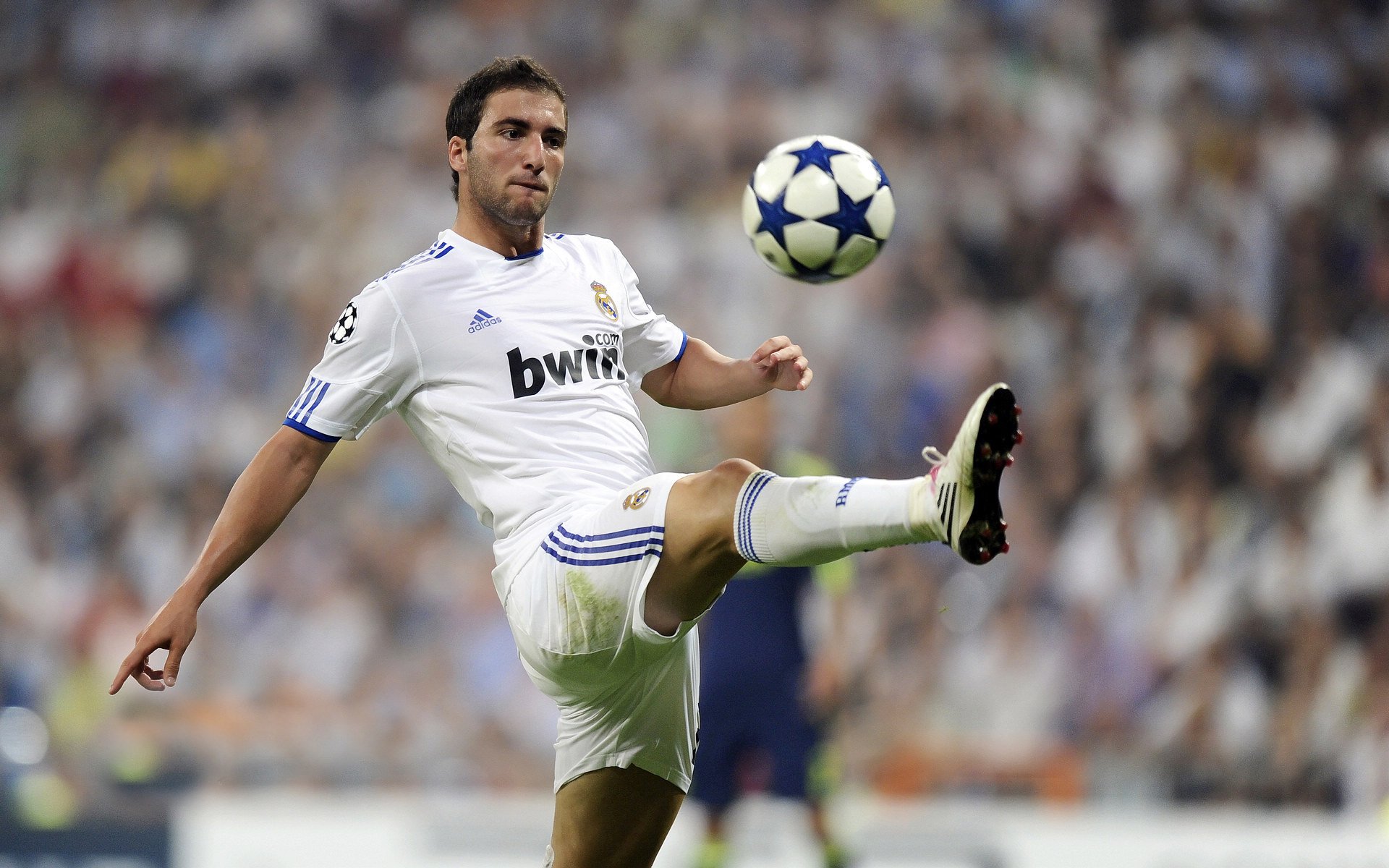 “青年球员崭露头角，中超未来可期”，中超球队各队青训的情况