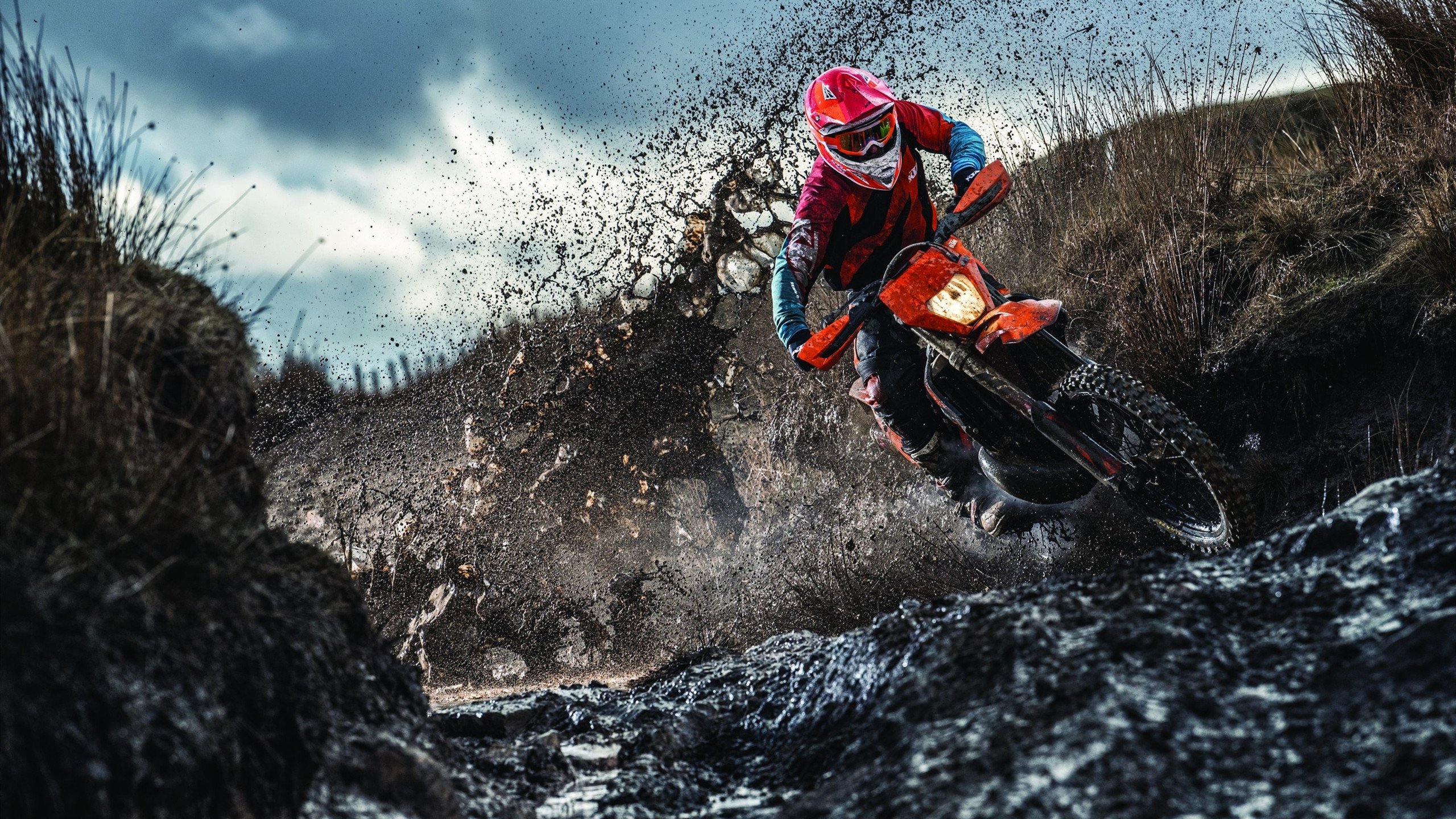 【冠军争夺激烈】一场比赛决定季后赛名次，冠军季中赛