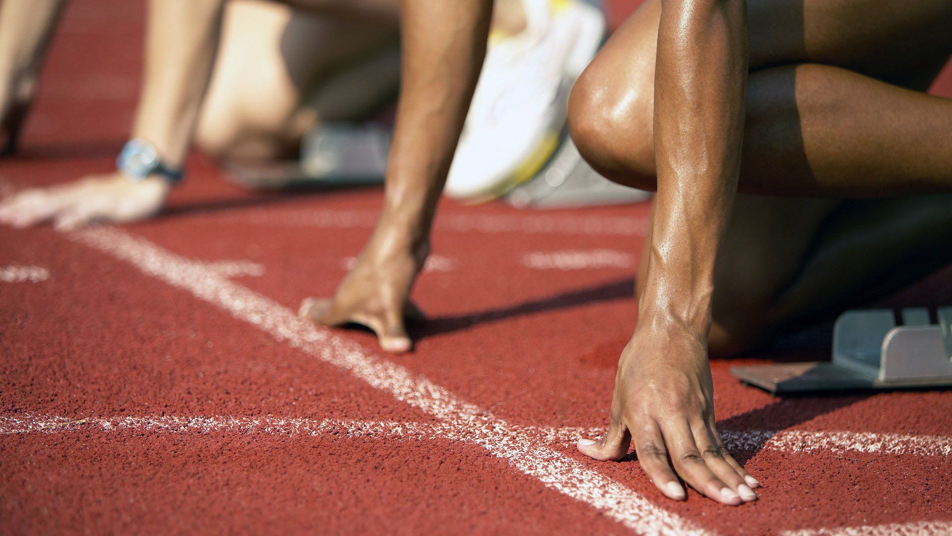 校园体育社团活跃度与管理策略研究，体育社团的运行状况