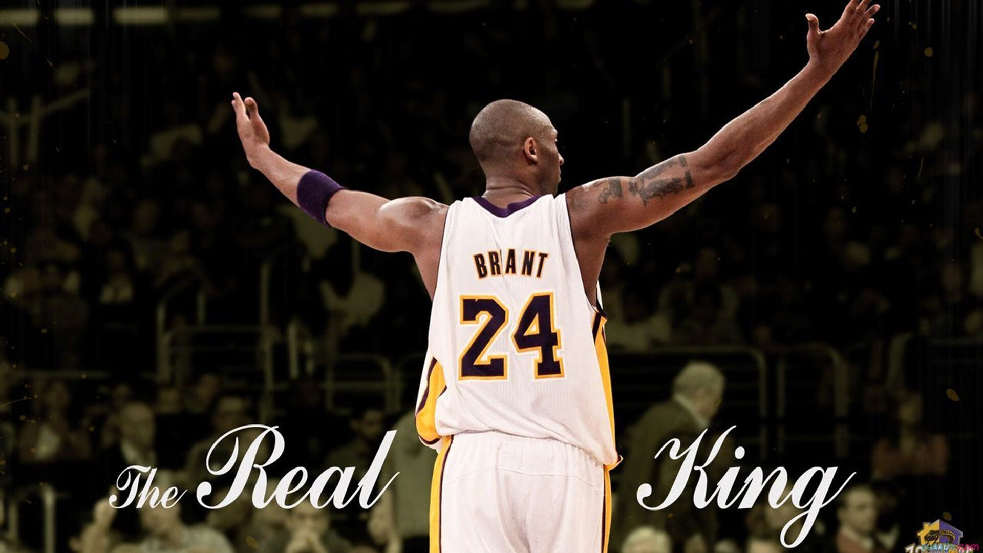 三分专家谁才是射手之王，三分射手sf